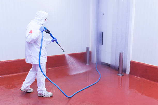 Best Paint Preparation  in Oakwood, GA