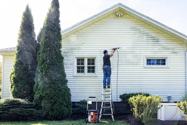 Best Roof Washing  in Oakwood, GA